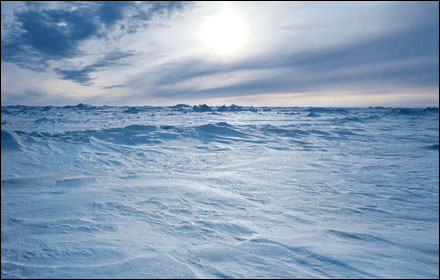frozen-tundra.jpg
